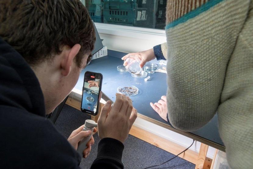 A person recording a video using a smartphone and stabliser gimbal. They are recording some grain samples being processed.