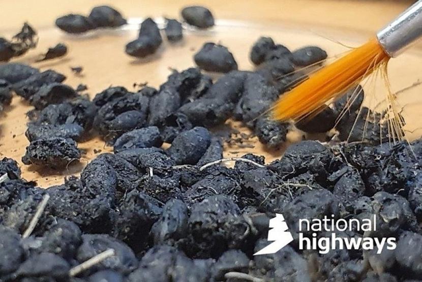 burnt grains from A428 excavations