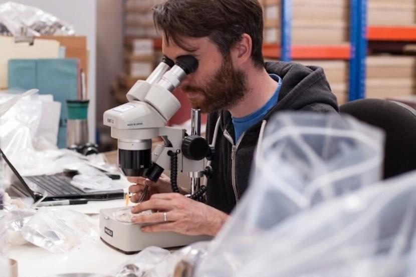 Environmental archaeologist looks through a microscope