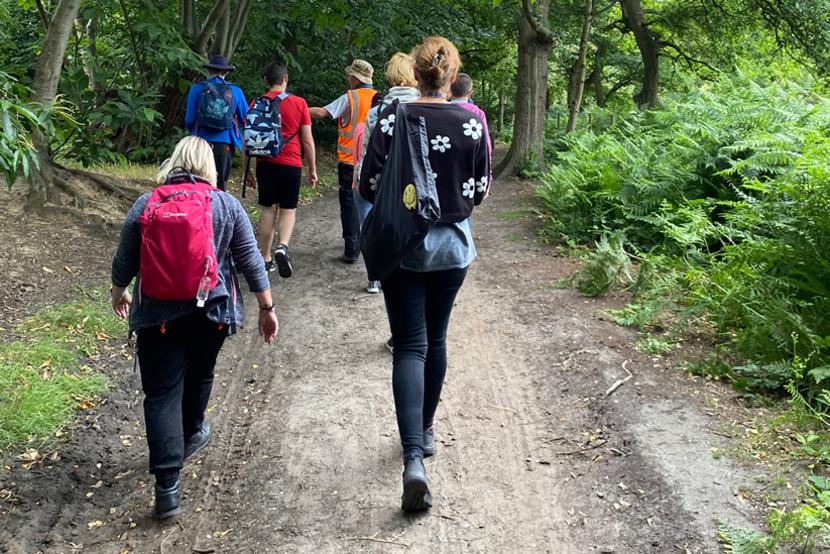 A group of people walk along a woodland path.