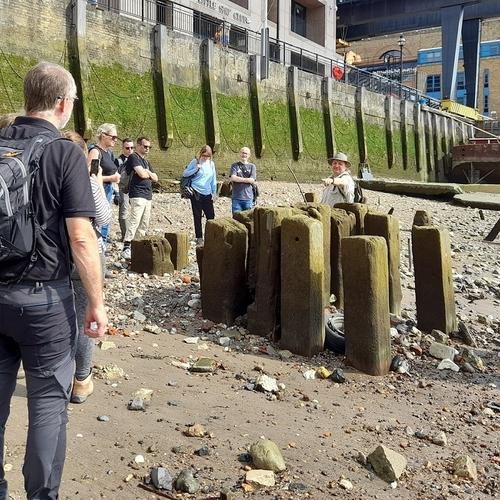 People on a guided walk look on as an archaeologist points out large timbers on the foreshore