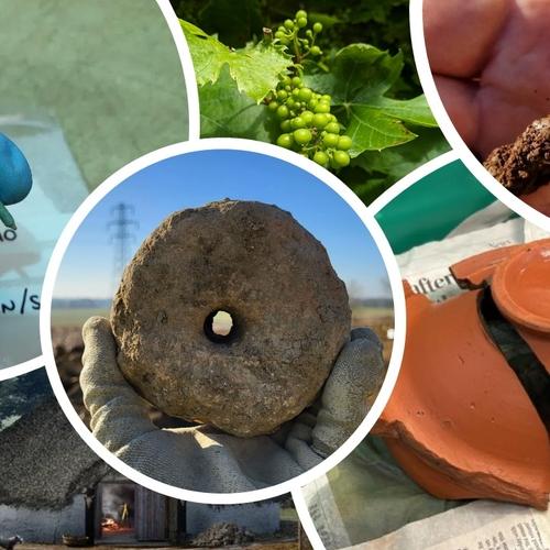 A collage of various finds from the A428.