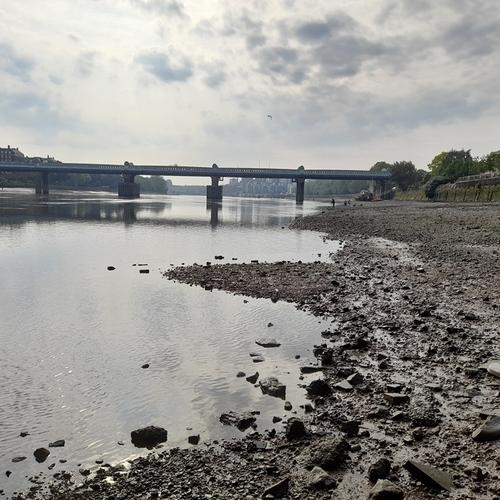 The foreshore at Putney.