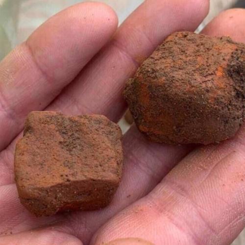 Archaeologist holding two Roman tiles
