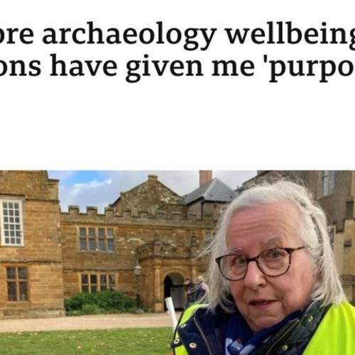 screenshot from bbc news article