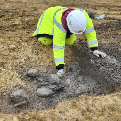 archaeologist excavating animal bone and pottery from a ditch