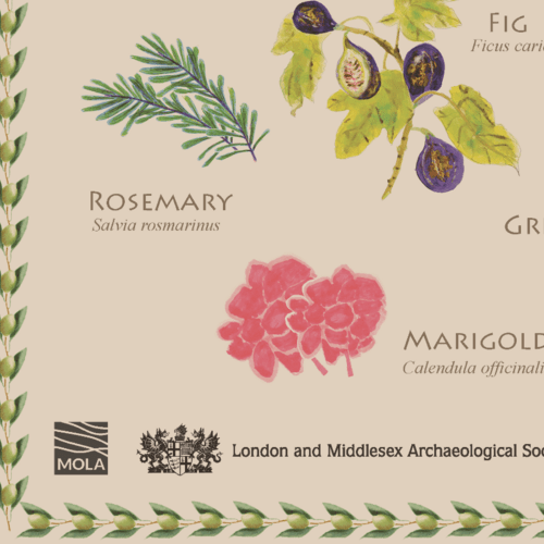 Screenshot of part of a poster with images of Roman plants, showing the MOLA and LAMAS logos