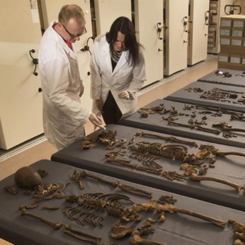 MOLA osteologists examine Crossrail skeletons (c) MOLA