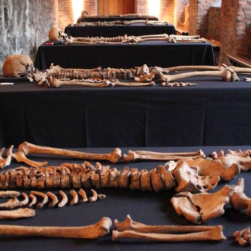 New research reveals secrets of Crossrail's Black Death skeletons 