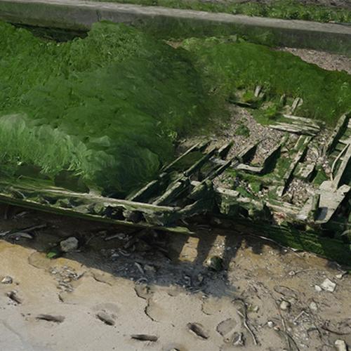 Still of 3D model created by MOLA staff