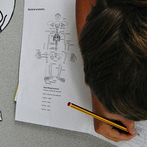 Pupil taking part in archaeology session with MOLA for Reach Out Project